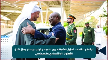 اجتماع القادة.. تعزيز الشراكة بين الدولة وغينيا بيساو يعزز آفاق التعاون الاقتصادي والسياسي